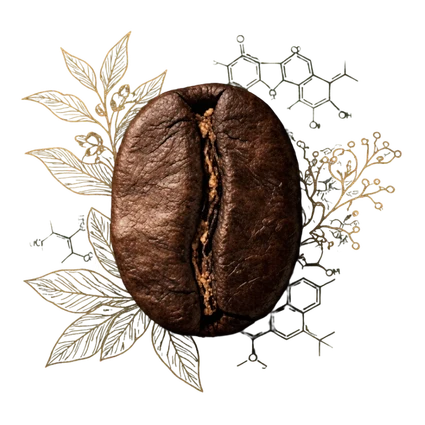 Grãos selecionados, Aromas e Terpenos 100% Naturais: Café Sensorial com ciência aromática