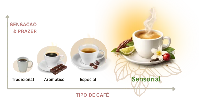 Grafico resumo comparando Café Tradicional, Aromático, Especial e o Café Sensorial